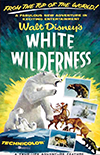 White Wilderness