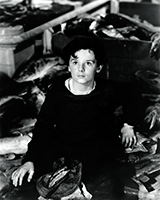 Freddie Bartholomew (1937)